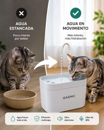 Bebedero Inteligente Automática de Agua Fresca